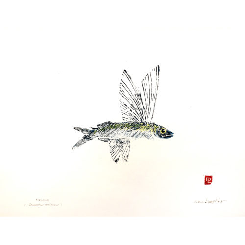 Malolo Flying Fish original gyotaku by Debra Lumpkins