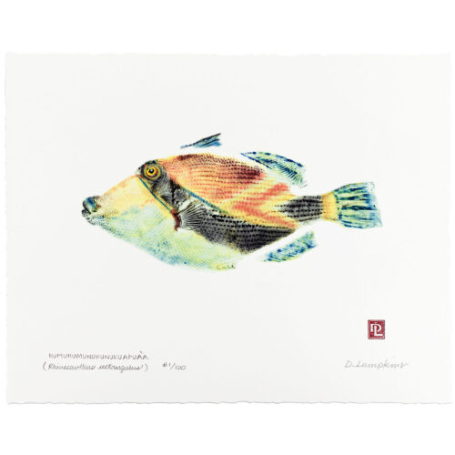 Hawaiian State Fish gyotaku humuhumu by Debra Lumpkins