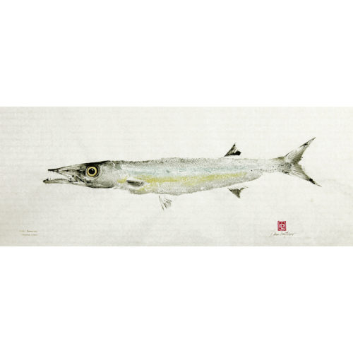 2006 Hellers Barracuda original gyotaku by Debra Lumpkins