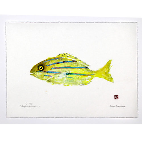 bluestripe snapper original gyotaku by Debra Lumpkins