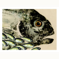 In Good Company Kagami Akule gyotaku by Debra Lumpkins