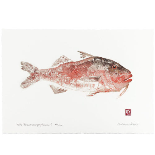 Kumu gyotaku by Debra Lumpkins