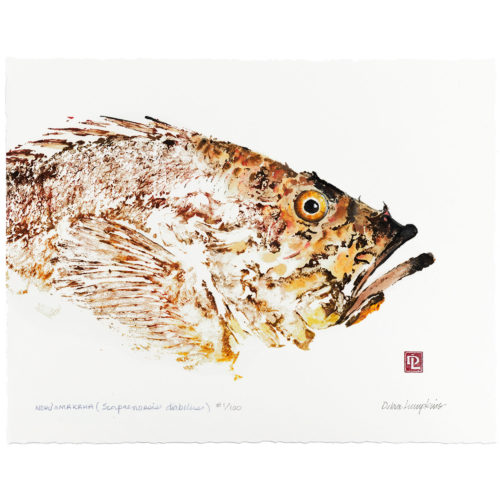 Nohu gyotaku by Debra Lumpkins