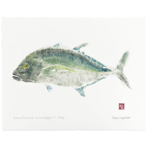 Omilu gyotaku by Debra Lumpkins