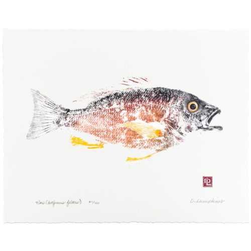 Blacktail snapper toau gyotaku by Debra Lumpkins