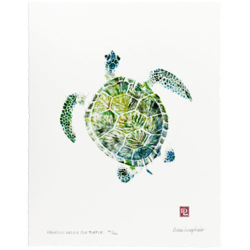 Hawaiian Green Sea Turtle gyotaku by Debra Lumpkins