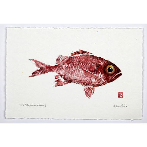 Menpachi gyotaku by Debra Lumpkins