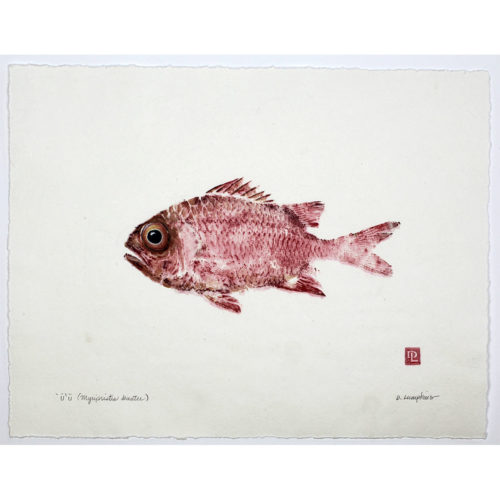 Menpachi soldierfish original gyotaku by Debra Lumpkins