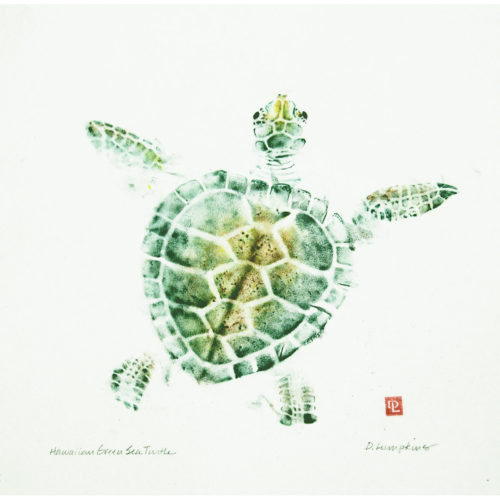 Sea Turtle gyotaku by Debra Lumpkins