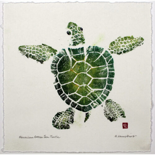 Hawaiian Green Sea Turtle original gyotaku by Debra Lumpkins Studio