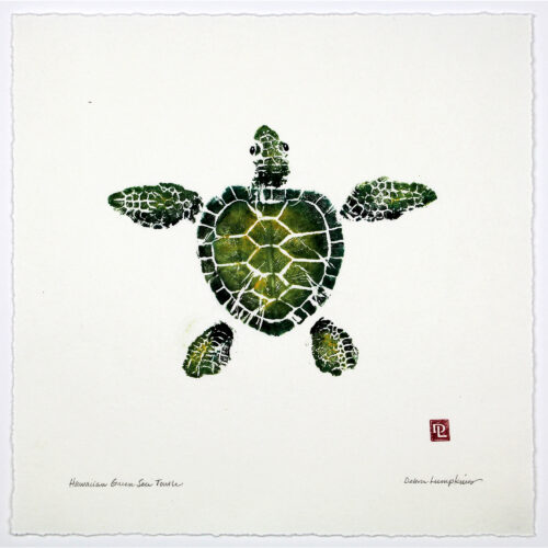 Hawaiian Green Sea Turtle original gyotaku by Debra Lumpkins