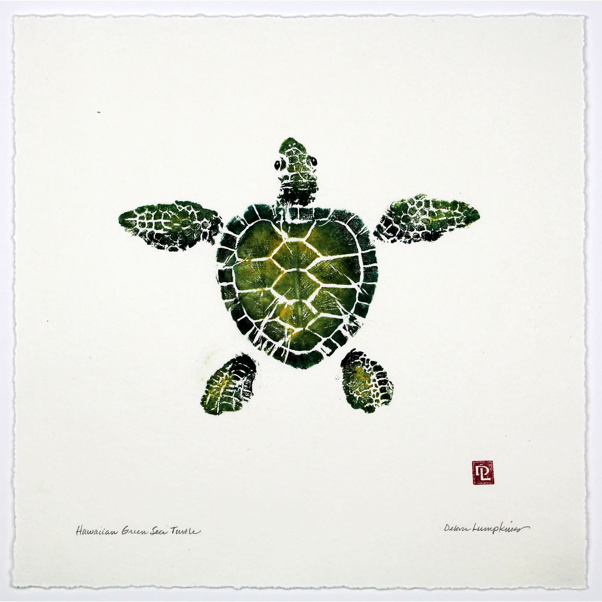 Hawaiian Green Sea Turtle | Debra Lumpkins Studio