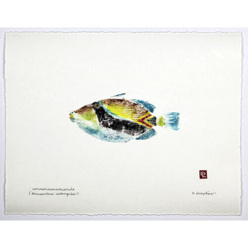 Hawaii State Fish humuhumu triggerfish original gyotaku by Debra Lumpkins