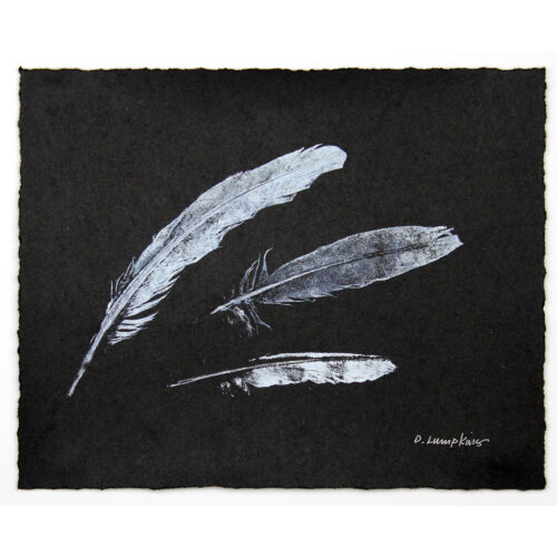 Original nature print feathers by Debra Lumpkins