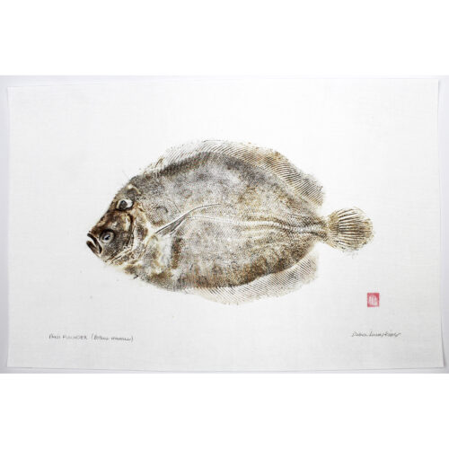 Hawaiian Flounder original gyotaku by Debra Lumpkins