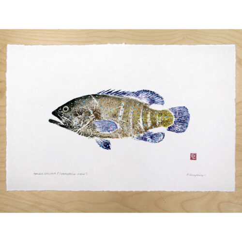 Peacock grouper original gyotaku by Debra Lumpkins