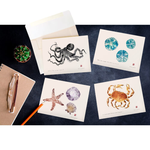 NOTE CARDS: Sealife of Pacific NW