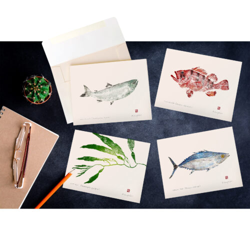 NOTE CARDS: Sealife of Tofino BC