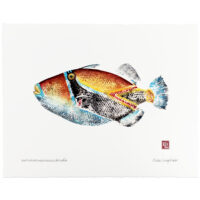 Hawaiian state fish gyotaku by Debra Lumpkins