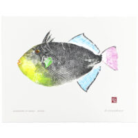 Pinktail triggerfish gyotaku by Debra Lumpkins