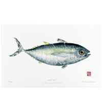 Yellowfin tuna gyaotaku print by Debra Lumpkins